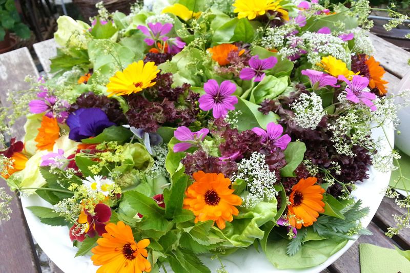 Wildblütensalat